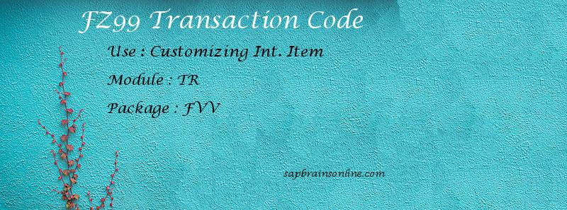 SAP FZ99 transaction code