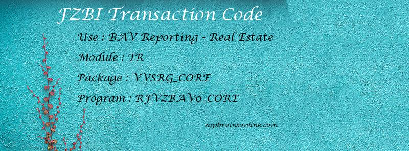 SAP FZBI transaction code