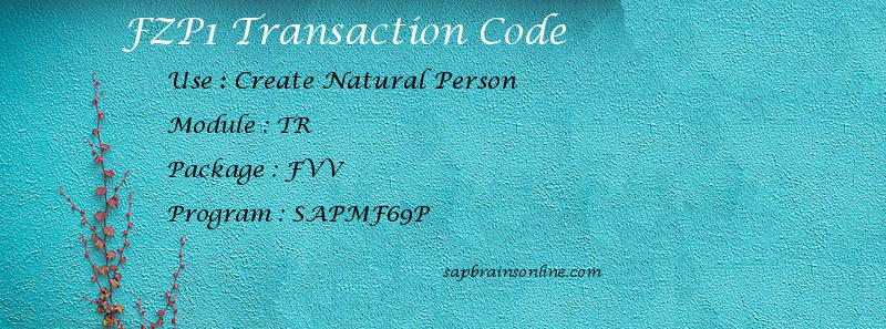 SAP FZP1 transaction code