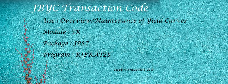 SAP JBYC transaction code