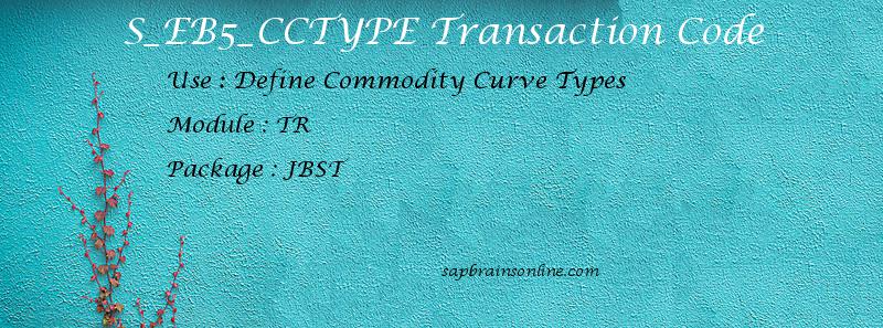 SAP S_EB5_CCTYPE transaction code