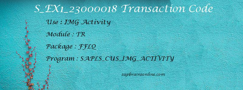 SAP S_EX1_23000018 transaction code