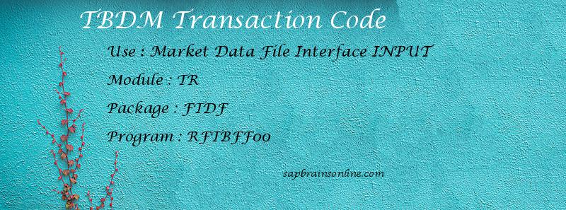 SAP TBDM transaction code