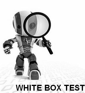 whitebox-testing