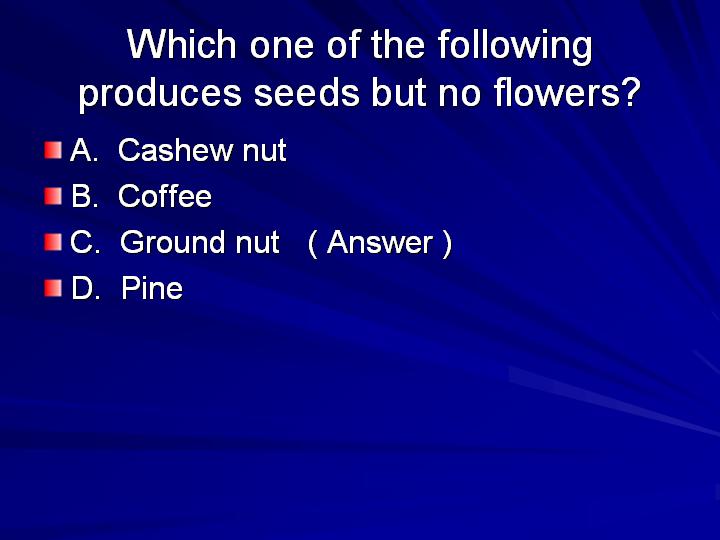 19_Which one of the following produces seeds but no flowers