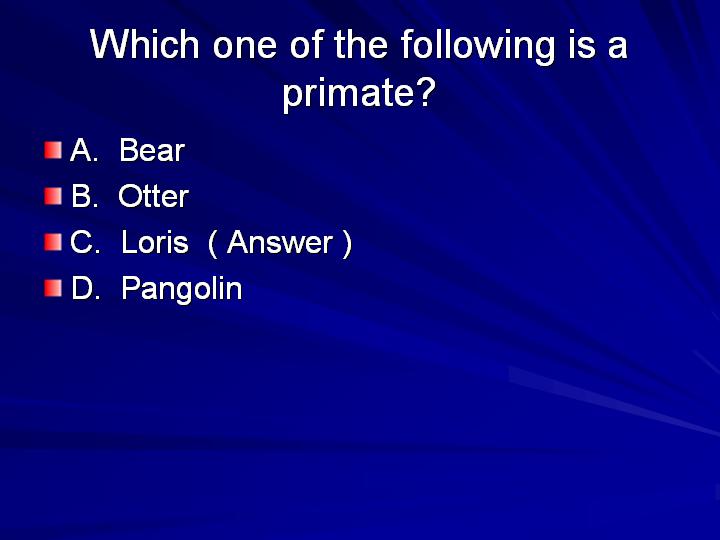 31_Which one of the following is a primate