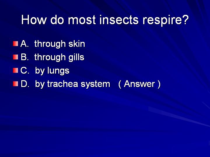 34_How do most insects respire