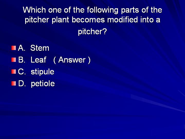 37_Which one of the following parts of the pitcher plant becomes modified into a pitcher