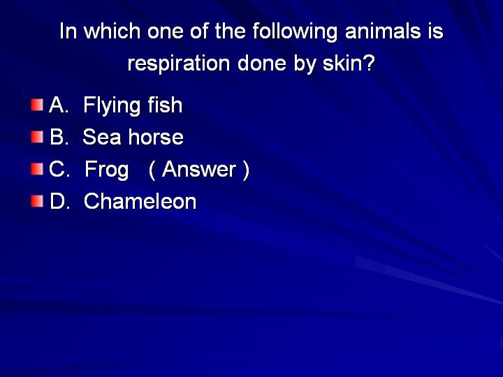 38_In which one of the following animals is respiration done by skin