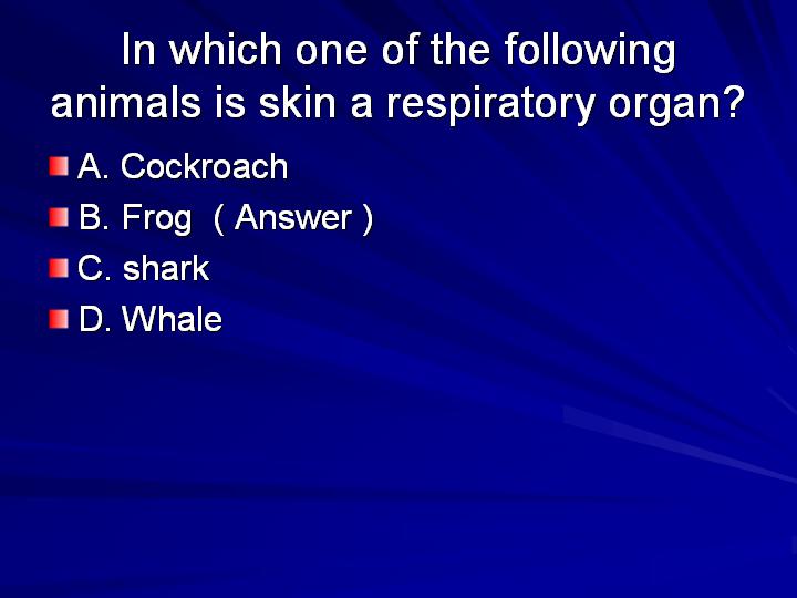 43_In which one of the following animals is skin a respiratory organ