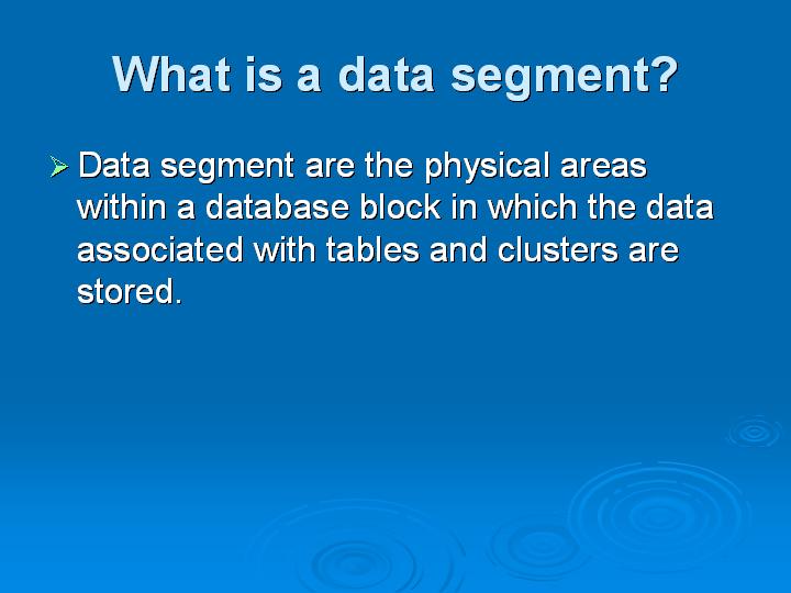 59_What is a data segment