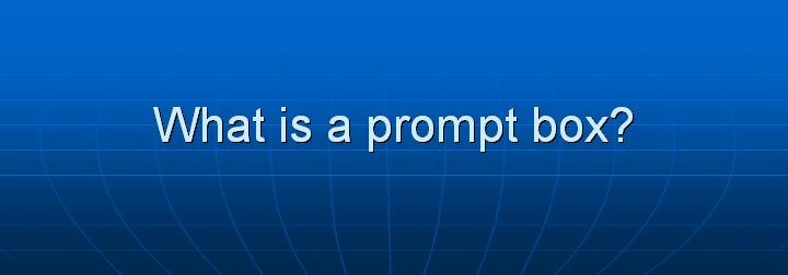12_What is a prompt box